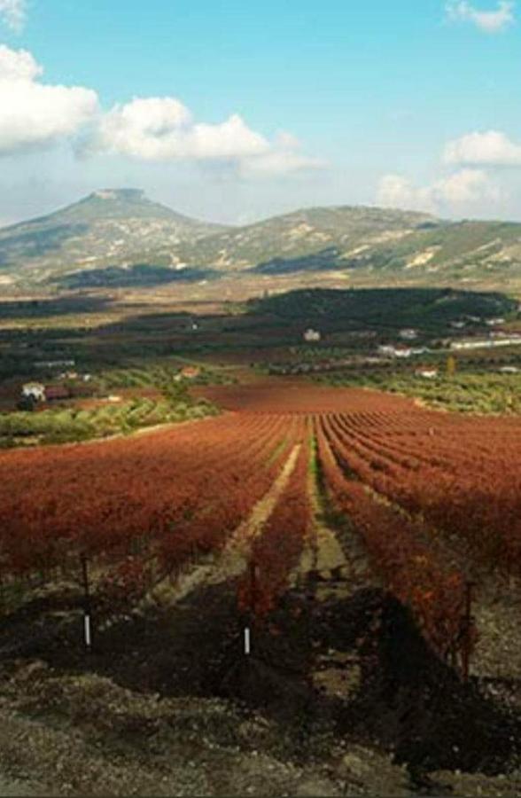 Georgia'S Village House Kondostavlos Екстер'єр фото